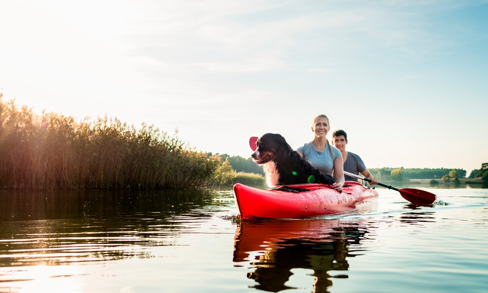 Health Insurance Solutions