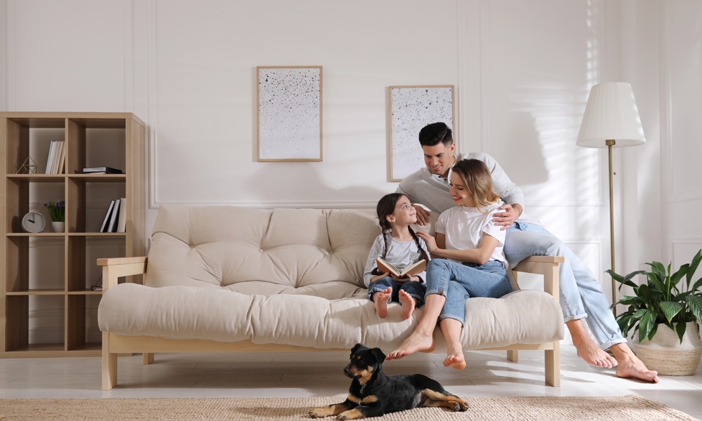 Homeowner's Insurance Solutions